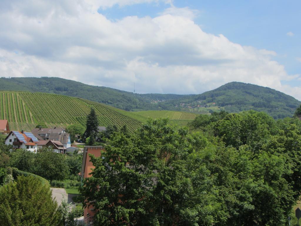 Gasthaus Zur Graesselmuehle Sasbach  エクステリア 写真